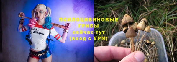 альфа пвп Горнозаводск