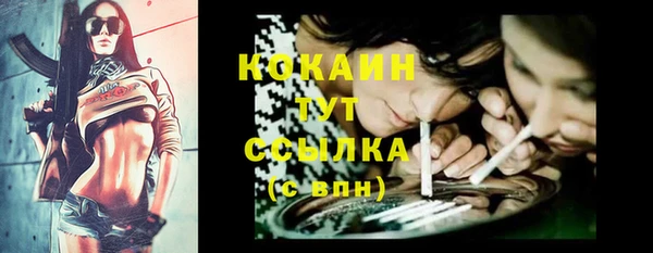 альфа пвп Горнозаводск