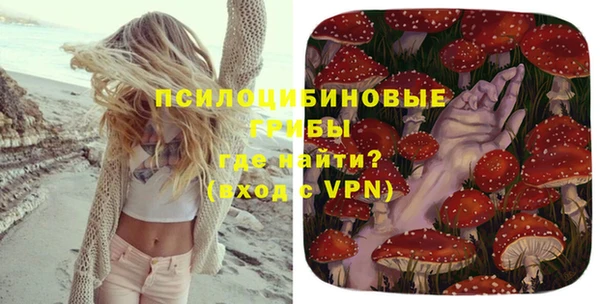 гидропоника Горняк