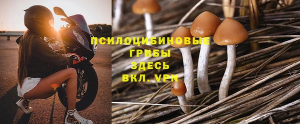 альфа пвп Горнозаводск
