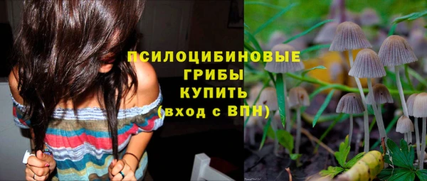 альфа пвп Горнозаводск