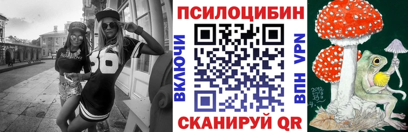 Псилоцибиновые грибы Cubensis  Вологда 