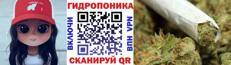 Каннабис конопля  Вологда 